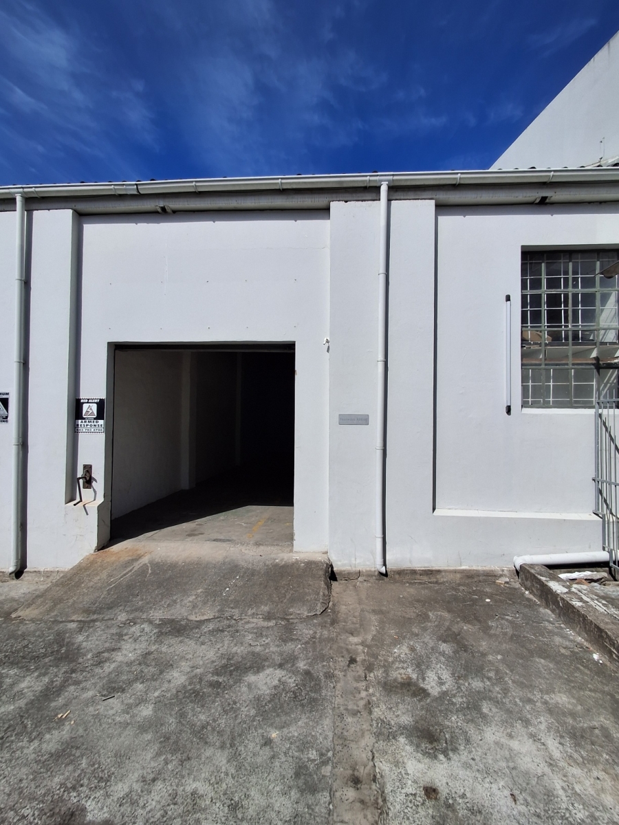 To Let Commercial Property for Rent in Arcadia Eastern Cape